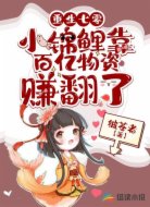 重生七零:小锦鲤靠百亿物资赚翻了