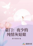 豪门:夜少的纯情灰姑娘