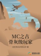 MC之古骨灰级玩家