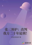 张三辩护:改判我方二十年徒刑!