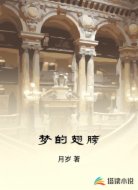 梦的翅膀