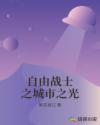 自由戰(zhàn)士之城市之光