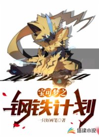 寶可夢之鋼鐵計劃