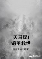 天马星I铠甲救世
