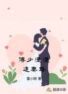 薄少漫漫追妻路