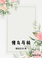 倦鸟与林