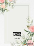窃贼