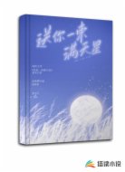 送你一束满天星