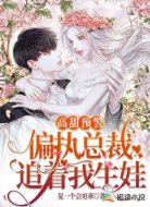高甜预警,偏执总裁追着我生娃