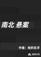 南北懸案