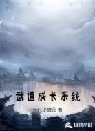 武道成长系统