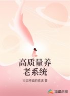 高质量养老系统