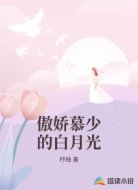 傲娇慕少的白月光