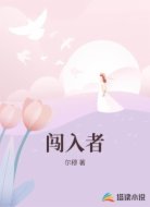 闯入者