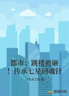 都市:跳楼被砸!传承七星回魂针