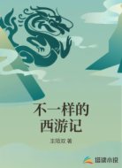 不一样的西游记