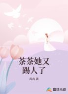 茶茶她又踢人了