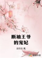 断袖王爷的宠妃