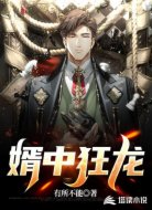 婿中狂龙