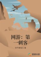 网游：第一刺客