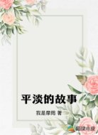 平淡的故事