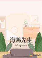 海鸥先生