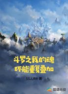斗罗之我的魂环能重复叠加