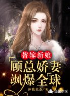 替嫁新娘:顾总娇妻飒爆全球