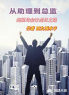 从助理到总监的菜鸟会计成长之路