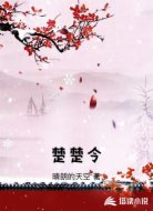 楚楚令