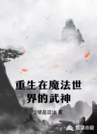 重生在魔法世界的武神