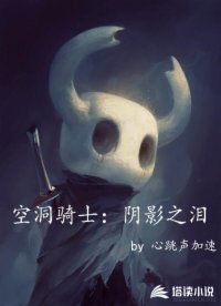 空洞骑士：阴影之泪