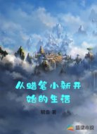从蜡笔小新开始的生活