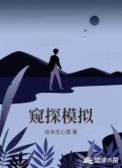 窥探模拟