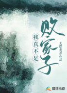 我真不是败家子 