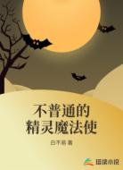 不普通的精灵魔法使