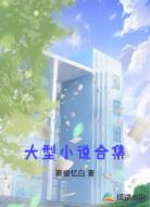 大型小说合集
