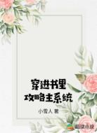 穿进书里攻略主系统