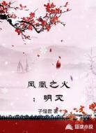 凤凰之火：明灭