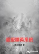 超级精英系统
