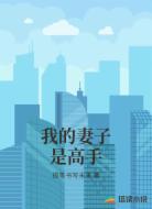 我的妻子是高手