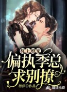 枕上婚宠，偏执季总求别撩