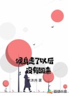 候鸟走了以后,没有回来