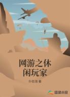 网游之休闲玩家