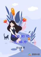 残缺的记忆碎片