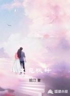 又见枫叶