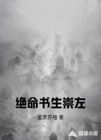 绝命书生崇左