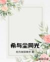 希與塵同光