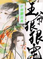王爷狠狠宠