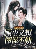 致命宠爱:顾少又想图谋不轨